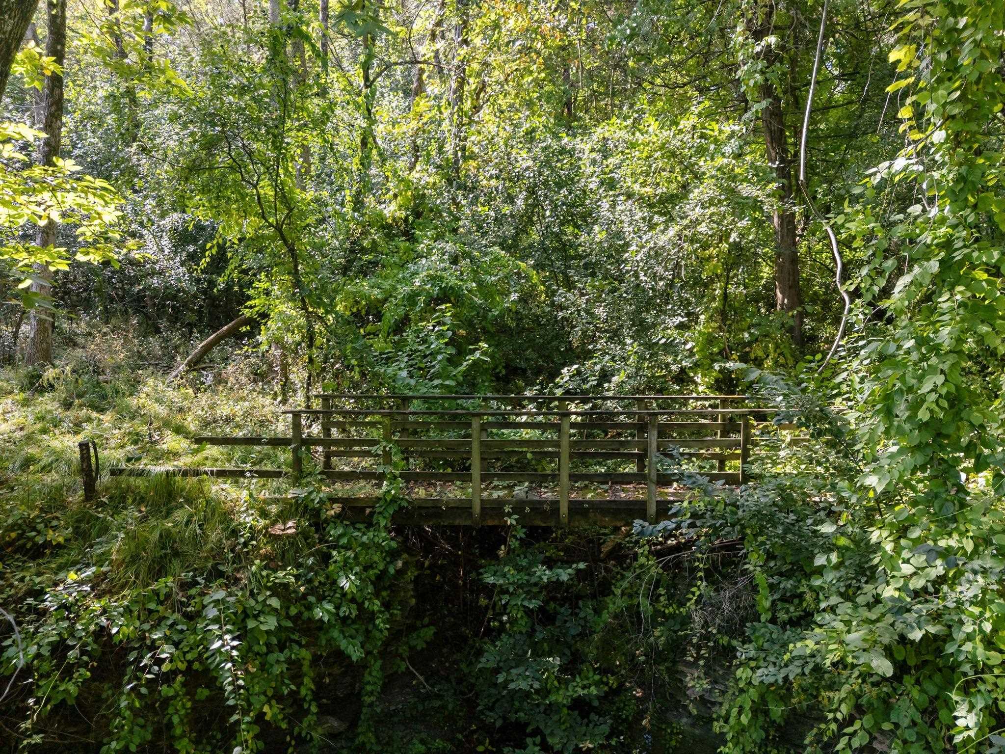 W2186 Eric Road Markesan, WI 53946 - Photo 11 of 27