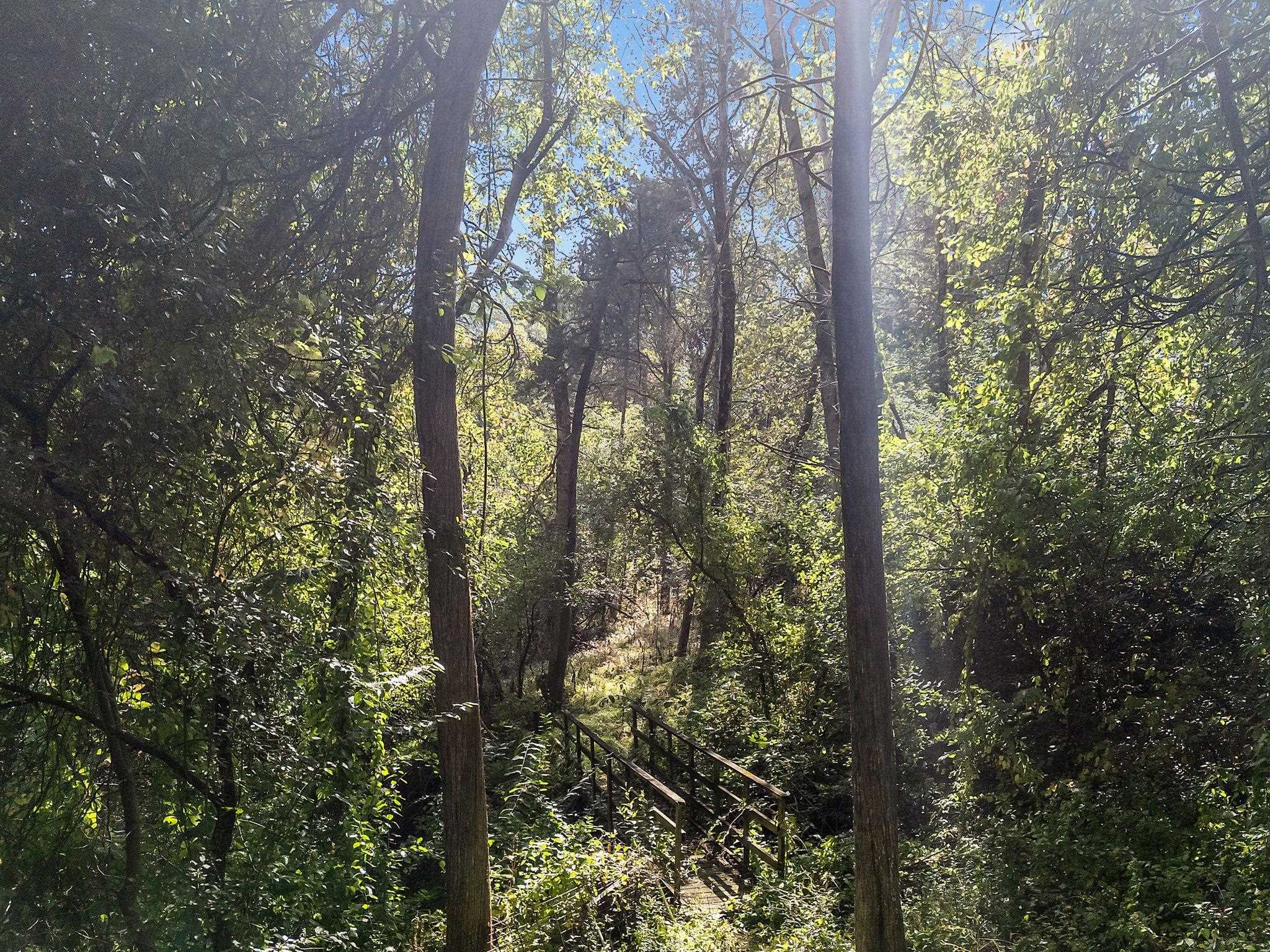 W2186 Eric Road Markesan, WI 53946 - Photo 13 of 27