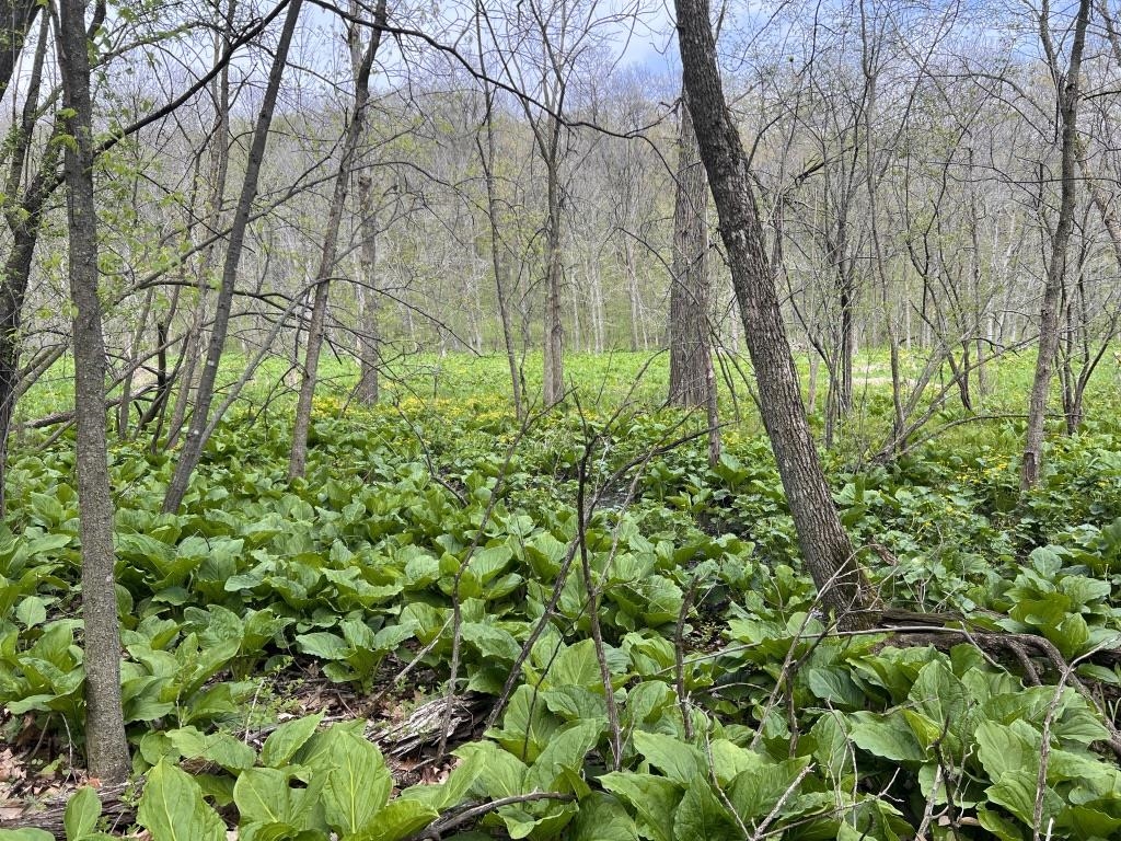 W2186 Eric Road Markesan, WI 53946 - Photo 18 of 27