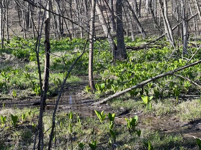 $1,300,000 | W2186 Eric Road, Markesan, WI 53946