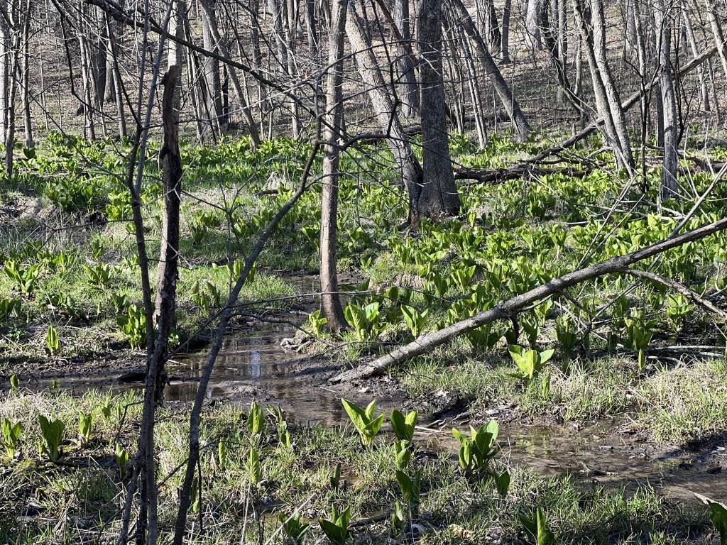 W2186 Eric Road Markesan, WI 53946 - Photo 18 of 27