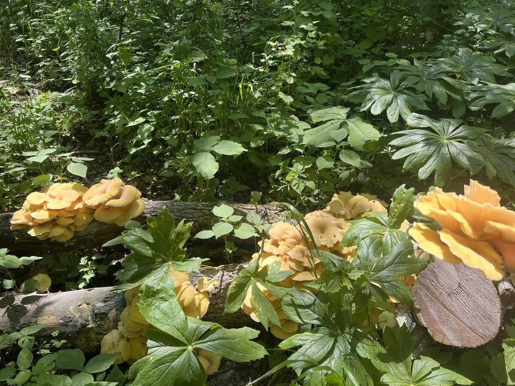 W2186 Eric Road Markesan, WI 53946 - Photo 20 of 27