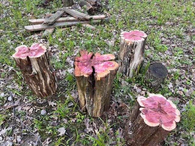 $1,300,000 | W2186 Eric Road, Markesan, WI 53946