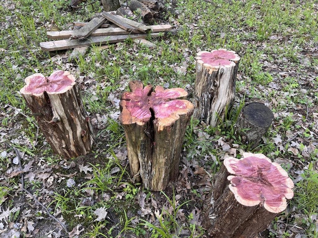 W2186 Eric Road Markesan, WI 53946 - Photo 21 of 27