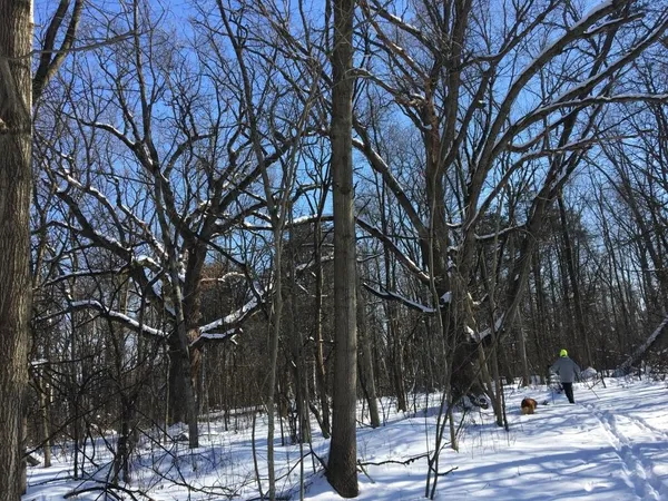 $1,300,000 | W2186 Eric Road, Markesan, WI 53946