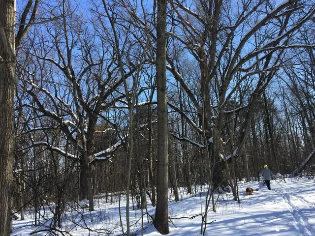 $1,300,000 | W2186 Eric Road, Markesan, WI 53946