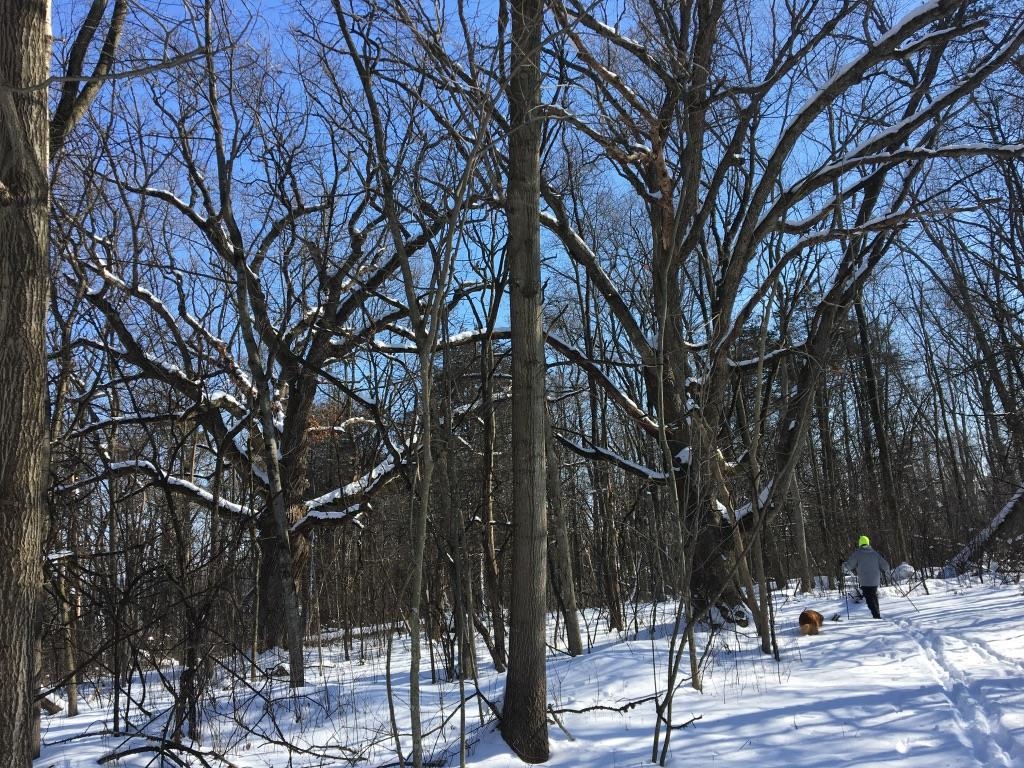 W2186 Eric Road Markesan, WI 53946 - Photo 24 of 27