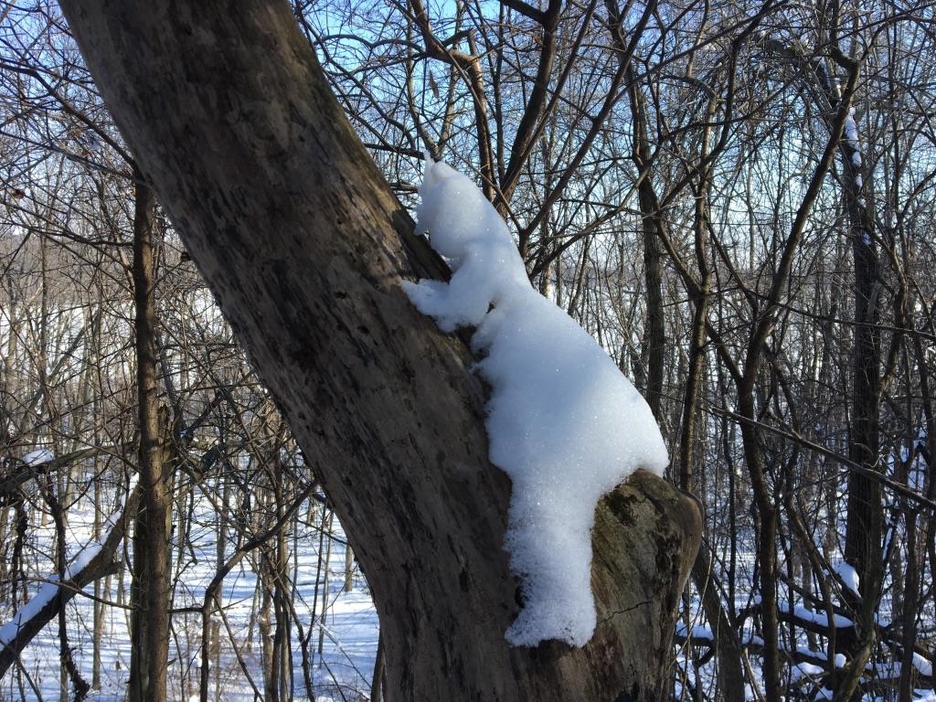 W2186 Eric Road Markesan, WI 53946 - Photo 25 of 27