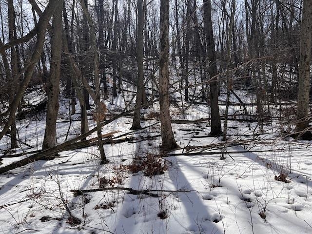 W2186 Eric Road Markesan, WI 53946 - Photo 28 of 33
