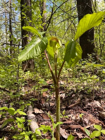 $1,300,000 | W2186 Eric Road, Markesan, WI 53946