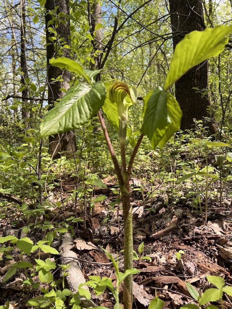 W2186 Eric Road Markesan, WI 53946 - Photo 5 of 27