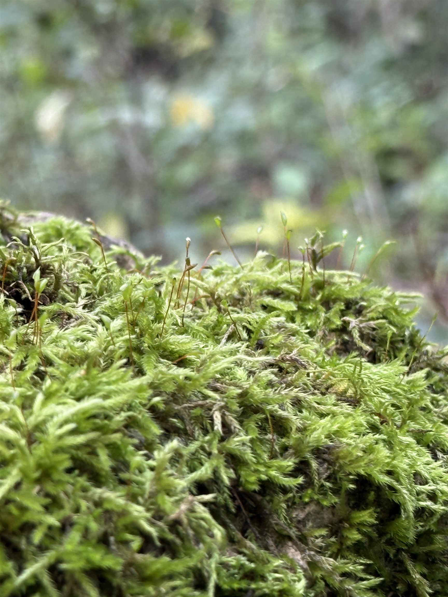 W2186 Eric Road Markesan, WI 53946 - Photo 5 of 27