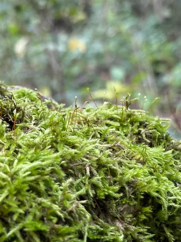 $1,300,000 | W2186 Eric Road, Markesan, WI 53946