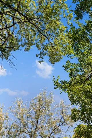 $1,300,000 | W2186 Eric Road, Markesan, WI 53946