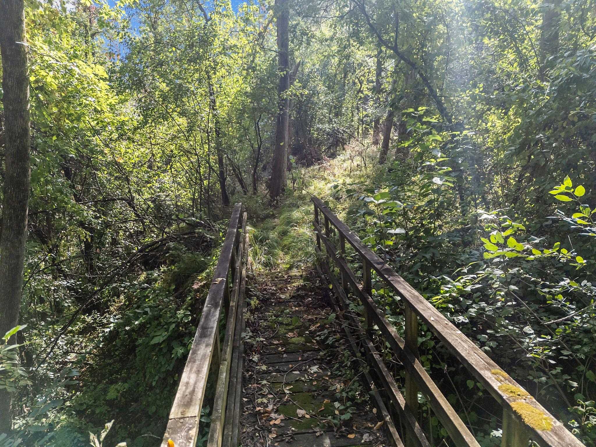 W2186 Eric Road Markesan, WI 53946 - Photo 10 of 27