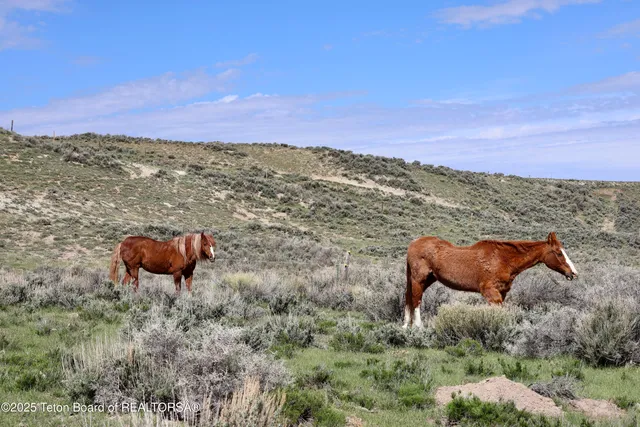 $1,350,000 | 31 Cutoff Road, Daniel, WY 83115