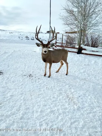 $1,350,000 | 31 Cutoff Road, Daniel, WY 83115