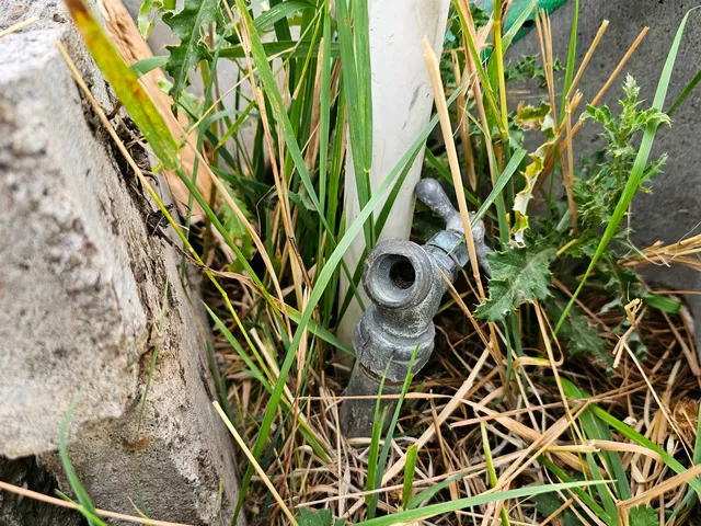 $92,500 | 423 South Brower Street, Medical Lake, WA 99022