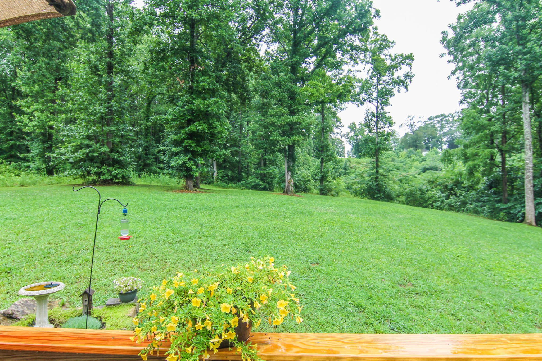 7014 Rising Road Knoxville, TN 37924 - Photo 3 of 35 Gallery Image 3