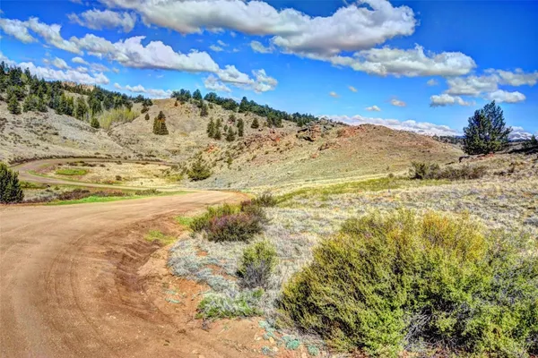 a view of a yard with a lake
