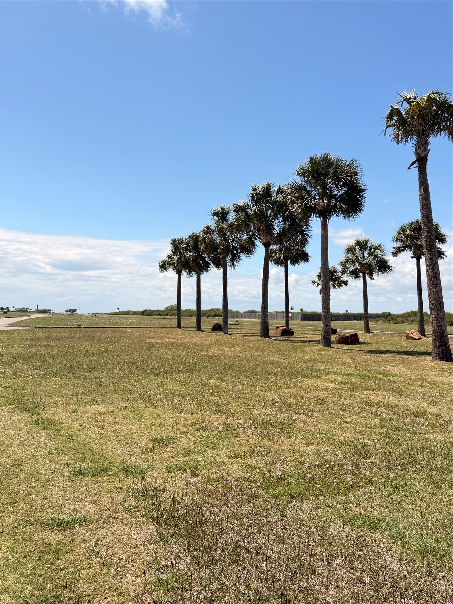 3221 Bay Rdg Drive Palacios, TX 77465 - Photo 13 of 16