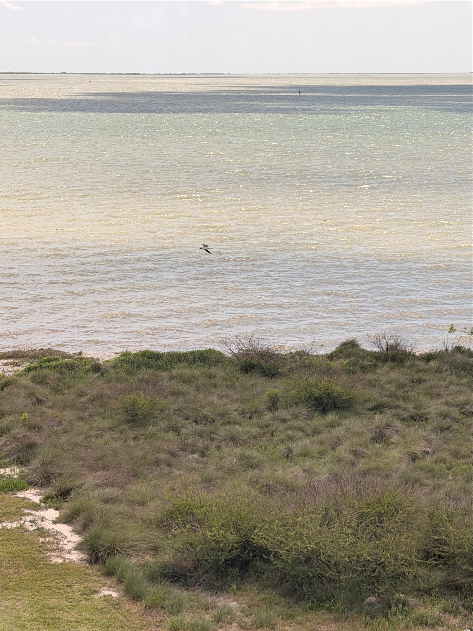 3221 Bay Rdg Drive Palacios, TX 77465 - Photo 8 of 16 a view of an ocean