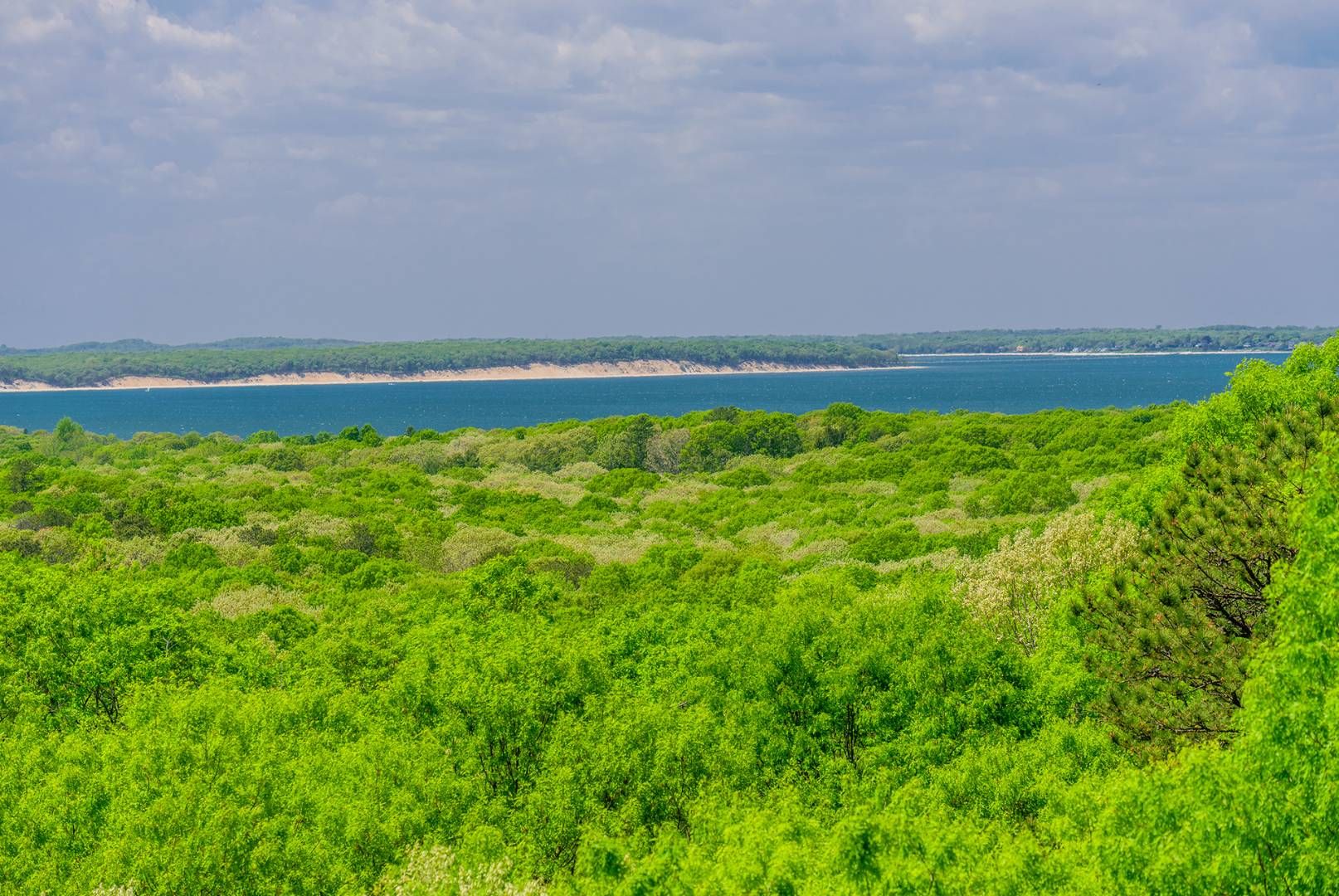 28 Deer Ridge Trail Water Mill, NY 11976 - Photo 4 of 23