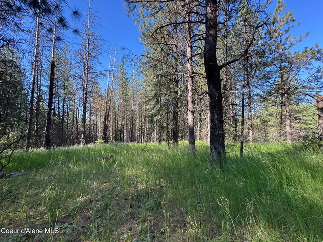 $469,000 | 3 Baby Cougar Lane, Coeur D'Alene, ID 83814