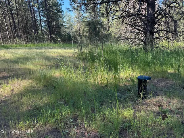 $469,000 | 3 Baby Cougar Lane, Coeur D'Alene, ID 83814