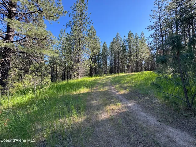 $469,000 | 3 Baby Cougar Lane, Coeur D'Alene, ID 83814