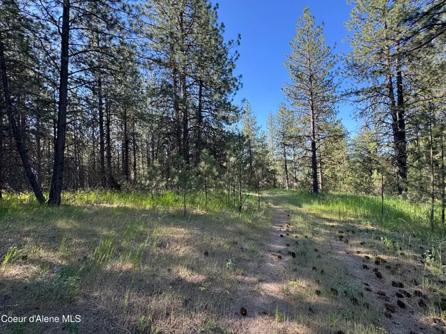 $469,000 | 3 Baby Cougar Lane, Coeur D'Alene, ID 83814