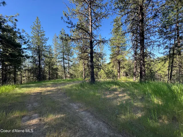 $469,000 | 3 Baby Cougar Lane, Coeur D'Alene, ID 83814