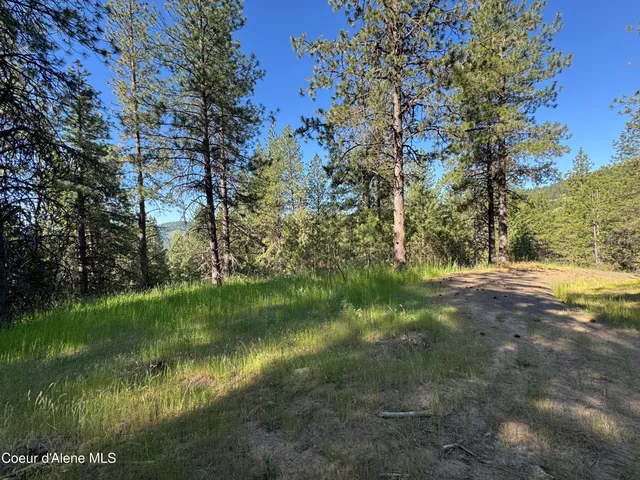 $469,000 | 3 Baby Cougar Lane, Coeur D'Alene, ID 83814