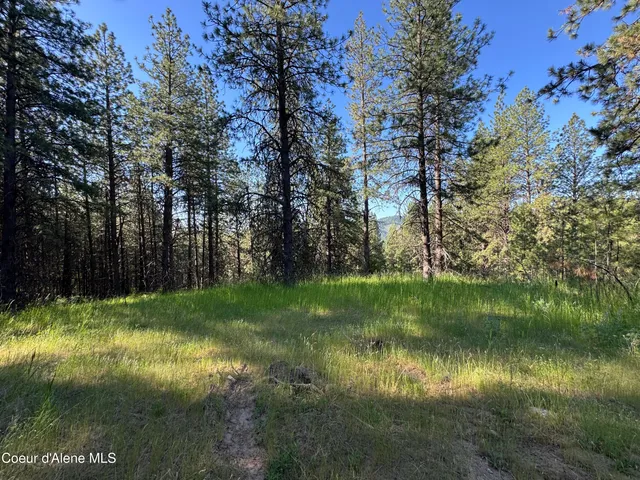 $469,000 | 3 Baby Cougar Lane, Coeur D'Alene, ID 83814