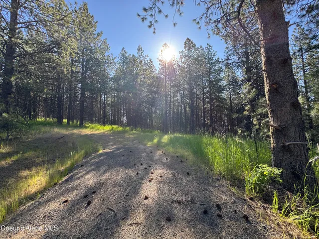 $469,000 | 3 Baby Cougar Lane, Coeur D'Alene, ID 83814