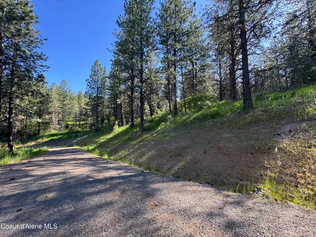 $469,000 | 3 Baby Cougar Lane, Coeur D'Alene, ID 83814