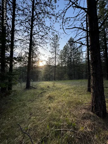 $469,000 | 3 Baby Cougar Lane, Coeur D'Alene, ID 83814