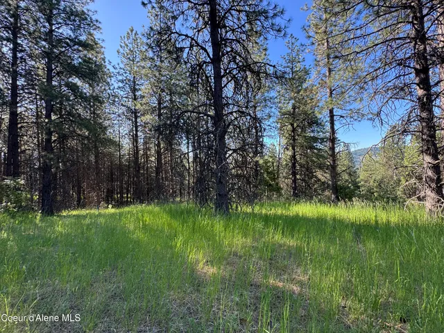 $469,000 | 3 Baby Cougar Lane, Coeur D'Alene, ID 83814