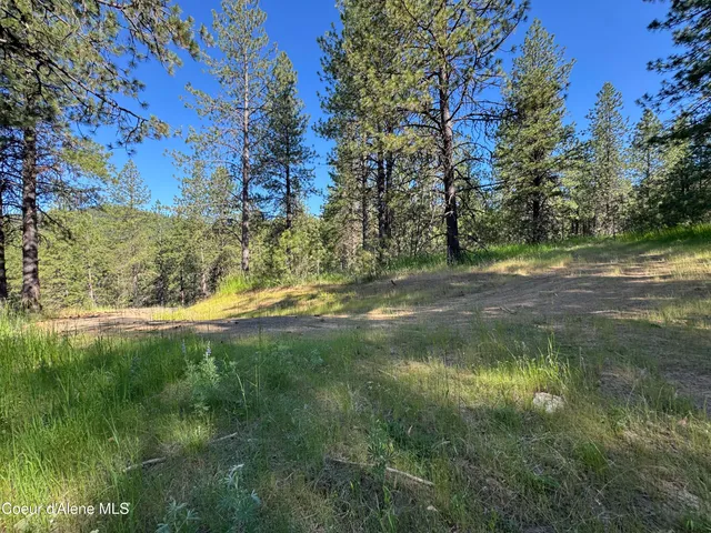 $469,000 | 3 Baby Cougar Lane, Coeur D'Alene, ID 83814