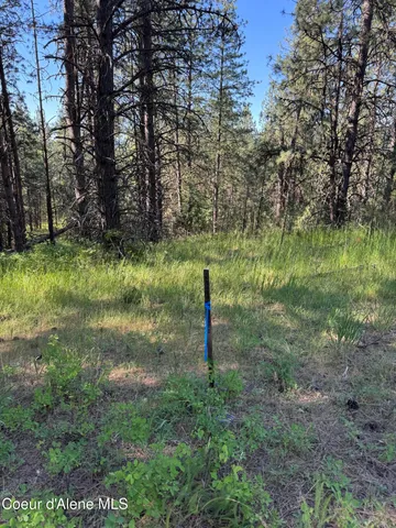 $469,000 | 3 Baby Cougar Lane, Coeur D'Alene, ID 83814