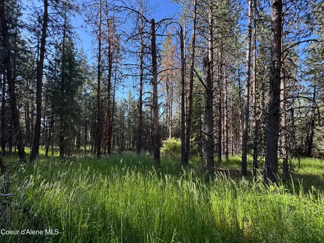 $469,000 | 3 Baby Cougar Lane, Coeur D'Alene, ID 83814