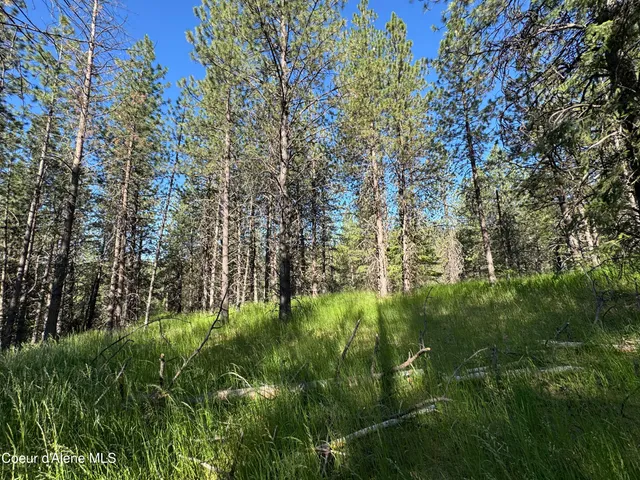 $469,000 | 3 Baby Cougar Lane, Coeur D'Alene, ID 83814