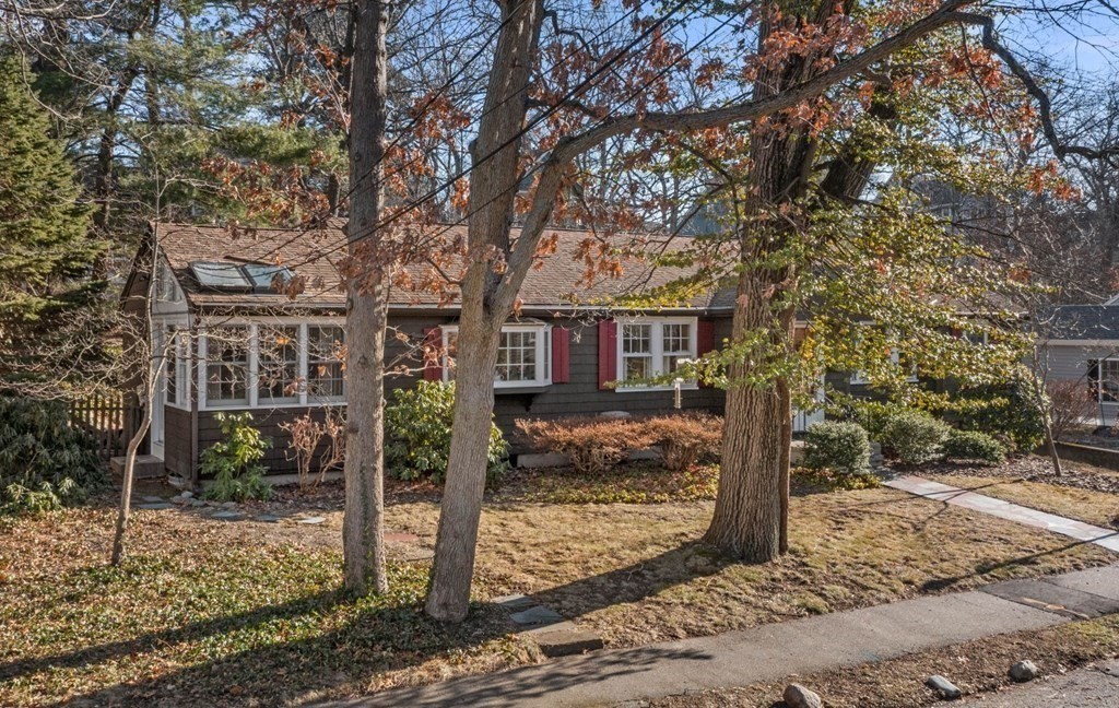 54 Manchester Road Newton, MA 02461 - Photo 34 of 40 a view of a house with a tree in the forest