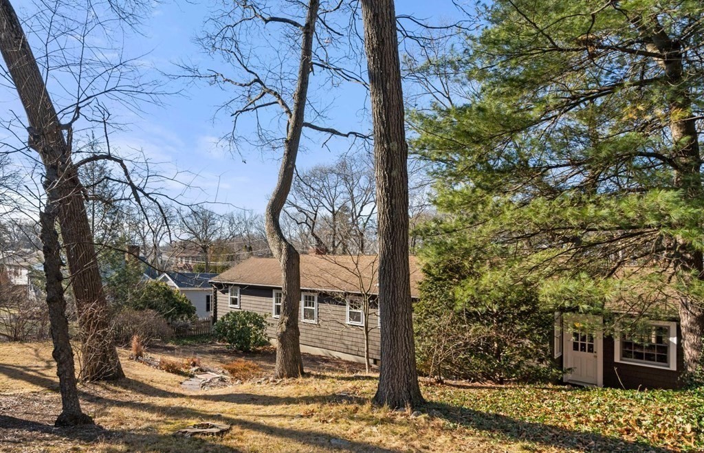 54 Manchester Road Newton, MA 02461 - Photo 38 of 40 a view of a tree in the middle of a yard