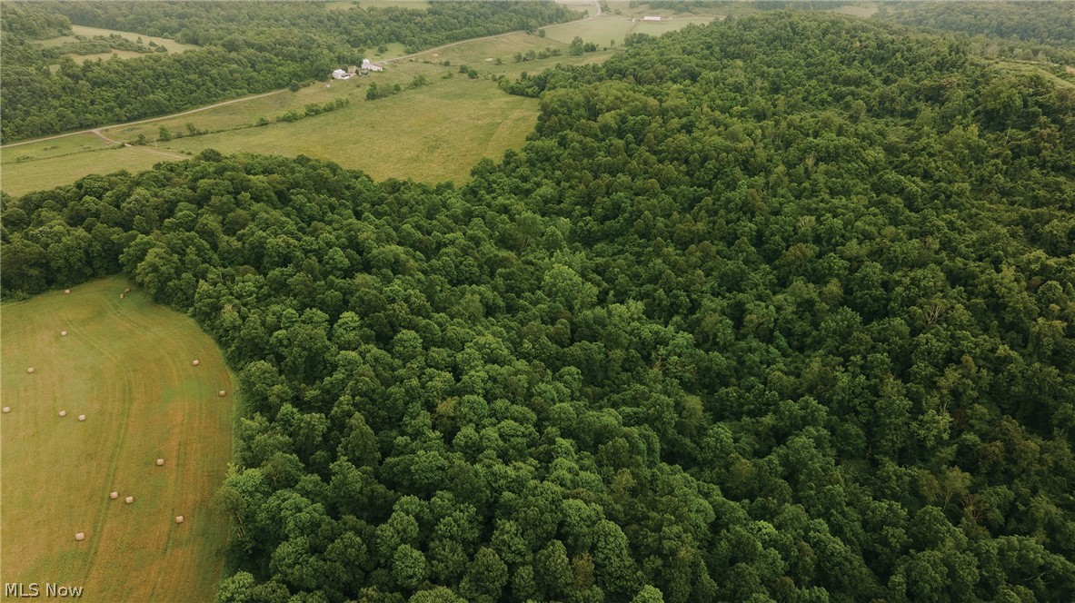 Logan Road Quaker City, OH 43773 - Photo 1 of 8 Birds eye view of property