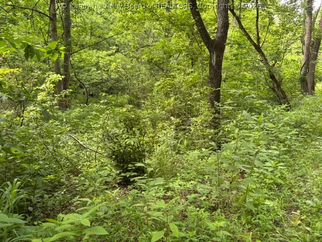 0 Brush Run Road Ripley, WV 25271 - Photo 11 of 13 Gallery Image 11