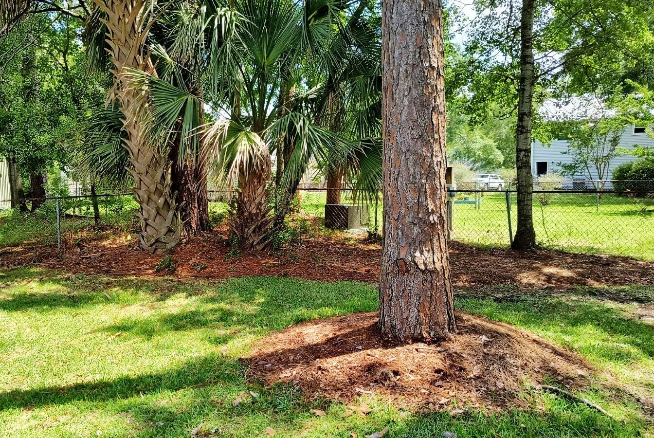 302 Longleaf Road Summerville, SC 29486 - Photo 7 of 40 IMG_20230624_144642906_HDR