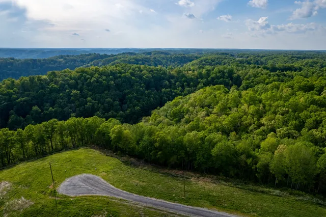 a view of a big yard