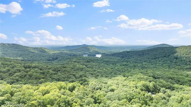 a view of a green field