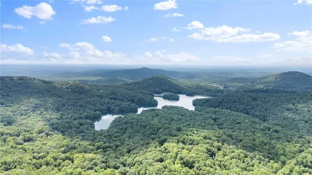 a view of a big yard